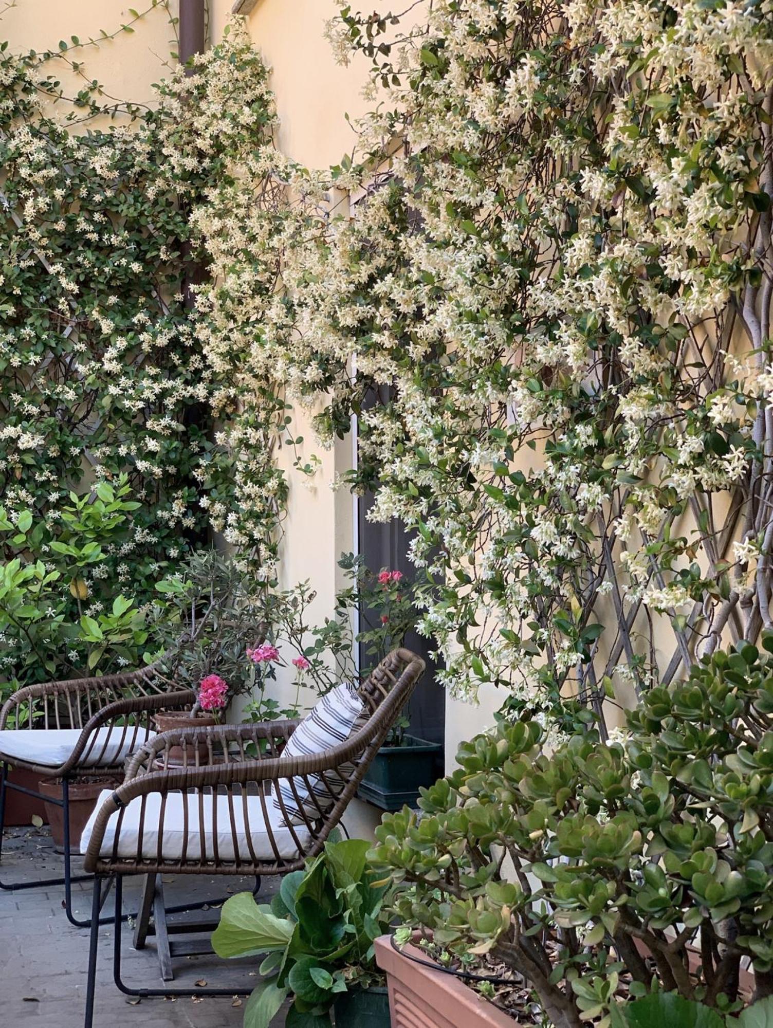 Gioia House Bed and Breakfast Milano Eksteriør billede