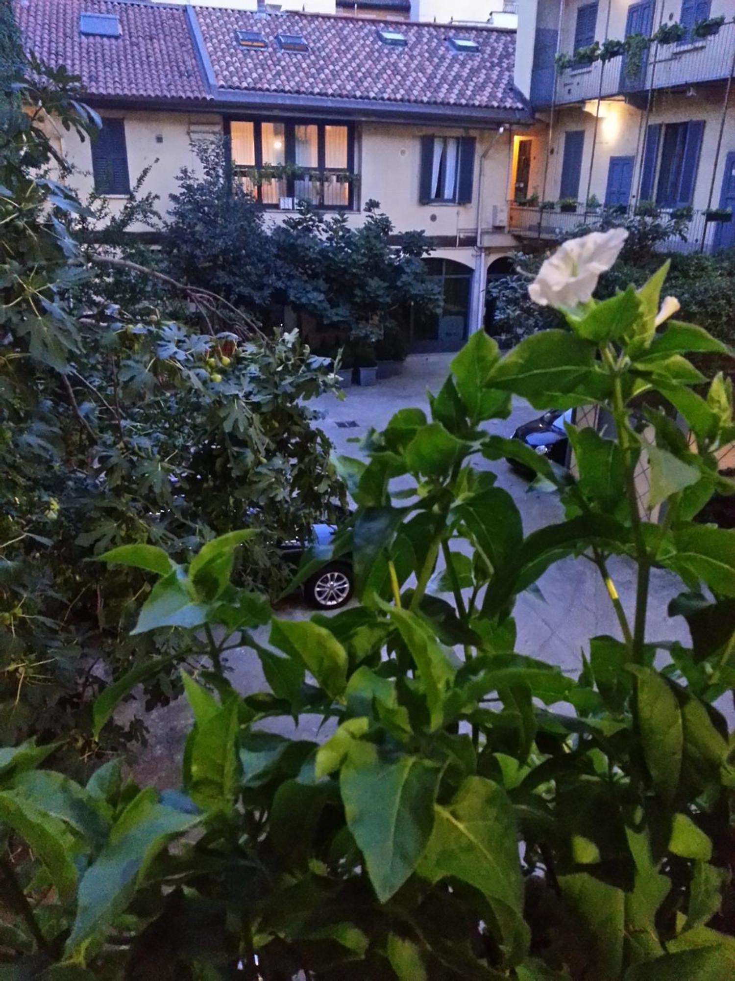 Gioia House Bed and Breakfast Milano Eksteriør billede